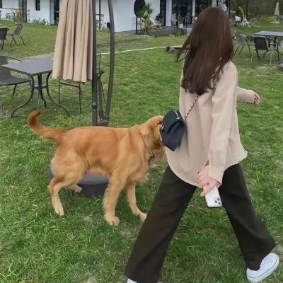 猛鬼街100号